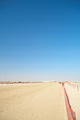 Photo: Robot camel racing Robot camel racing