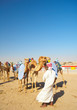 Robot camel racing