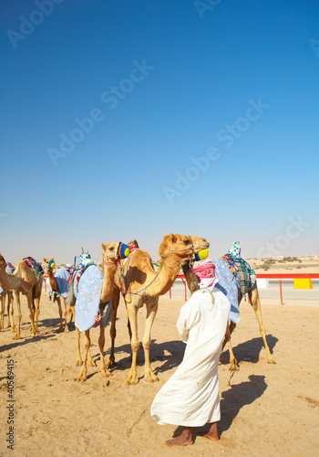 Photo: Robot camel racing Robot camel racing