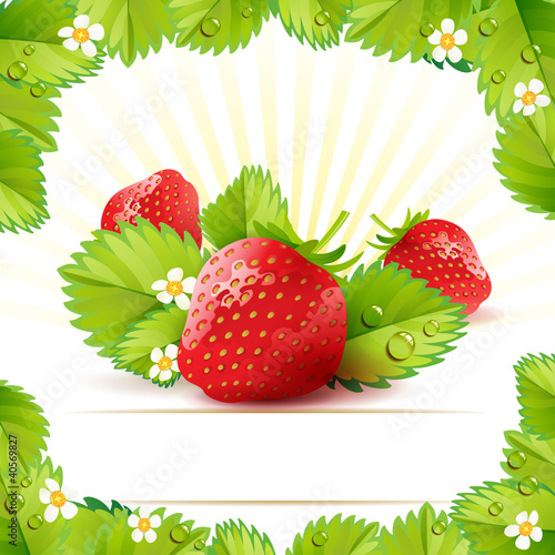 Vector: Strawberry with frame of leafs Strawberry with frame of leafs