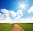 way on the green field