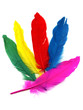 Photo en ligne au meilleur prix Background with colored feathers