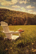 Adirondack chair in a field of tall grass Adirondack chair in a field of tall grass