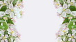 Apple blossom borders on pink background Apple blossom borders on pink background