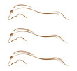 Horses silhouettes