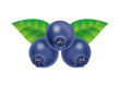 blueberry