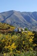 Andalusian countryside, Near Mijas, Spain © Arena Photo UK