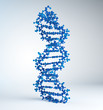 DNA strand model