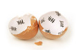 Broken egg shell