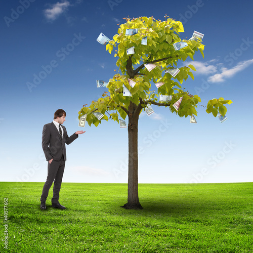Photo: Money tree and young business mans Money tree and young business mans
