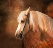 Illustration: Horse portrait. Simulation of old oil painting style Horse portrait. Simulation of old oil painting style
