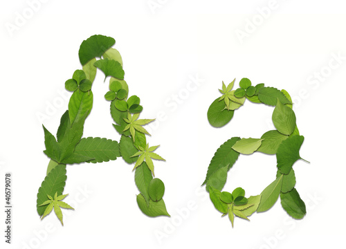 Photo: 葉っぱの文字 葉っぱの文字