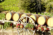 vineyard with barrels, Villeneuve-les-Corbieres, Languedoc-Rouss
