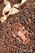 사진:beautiful girl with chocolate on cocoa beans beautiful girl with chocolate on cocoa beans