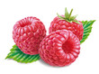 Himbeere