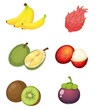 Fruits