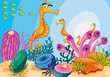 sea animals