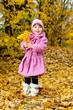 Cute child walking in autumn park