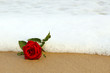 Rosa e Mar