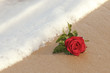 Rosa e Mar