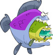 Three fish