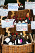 red wine in a shop