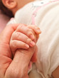 Parent holding an infants hand