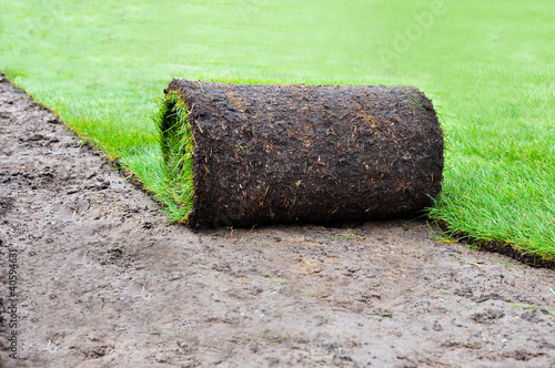 Foto: Rollrasen Rollrasen