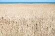 Naturlandschaften @ miket