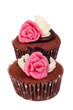Two romantic pink rose cupcakes Two romantic pink rose cupcakes