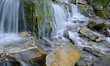 Slavonic Springs