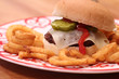 Juicy Cheeseburger with Fries