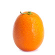 kumquat