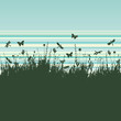 Grunge background with flying insects
