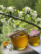 Honey