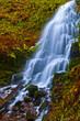 Spectacular Falls