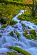 Spectacular Falls