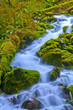 Spectacular Falls
