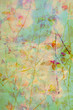 Photo en ligne au meilleur prix Natural leaves grunge beautiful, artistic background