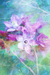 Photo en ligne au meilleur prix Natural flowers grunge beautiful, artistic background