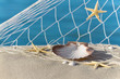 Maritimes Strand-Stillleben mit Muscheln und Seesternen
