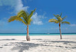 Carribean beach