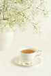 Cup of green tea on white background.