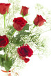 Bouquet of red roses.