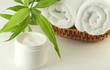 Spa composition with bamboo plant