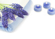 Spa composition with hyacinth