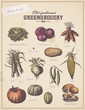 vintage greengrocer's placard with different vegetables (2)