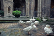 Cathedral  in Barcelona