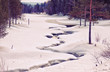 winter landscape