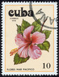 stamp, macro stamp, macro